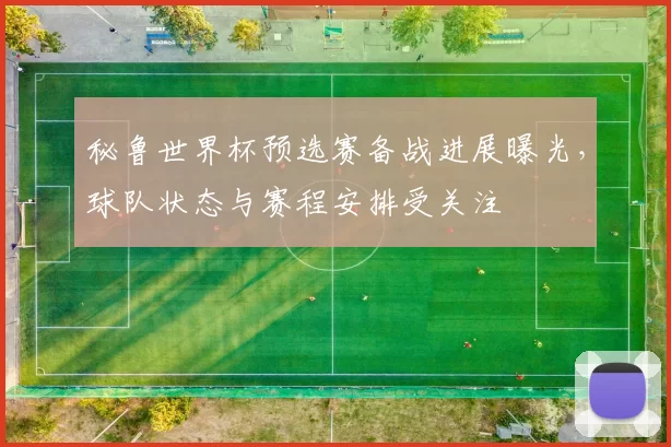 秘鲁世界杯预选赛备战进展曝光，球队状态与赛程安排受关注