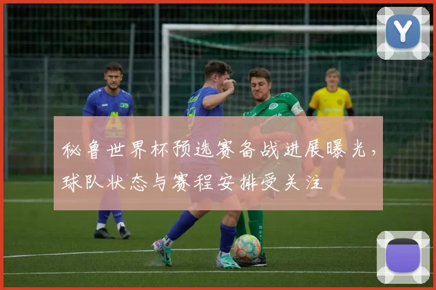 秘鲁世界杯预选赛备战进展曝光,球队状态与赛程安排受关注