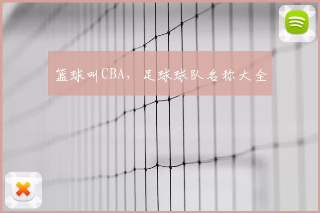 篮球叫CBA，足球球队名称大全