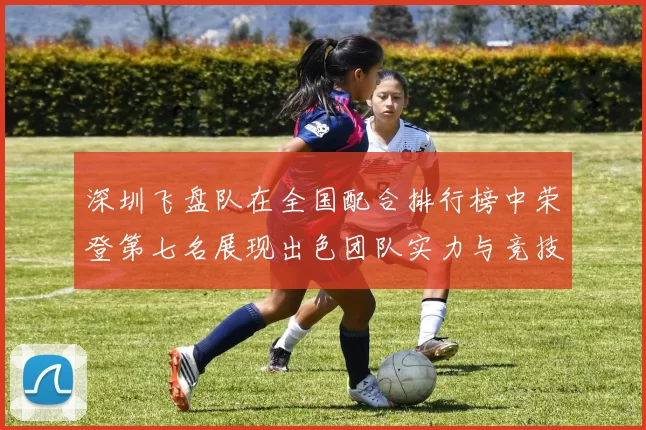 深圳飞盘队在全国配合排行榜中荣登第七名展现出色团队实力与竞技水平