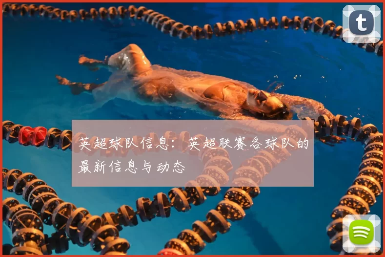 英超球队信息：英超联赛各球队的最新信息与动态