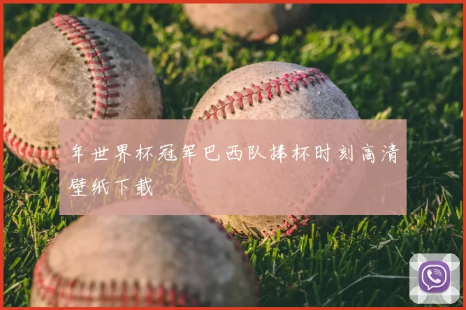 年世界杯冠军巴西队捧杯时刻高清壁纸下载