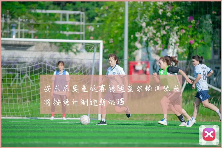 安东尼奥重返赛场随查尔顿训练或将按场计酬迎新机遇