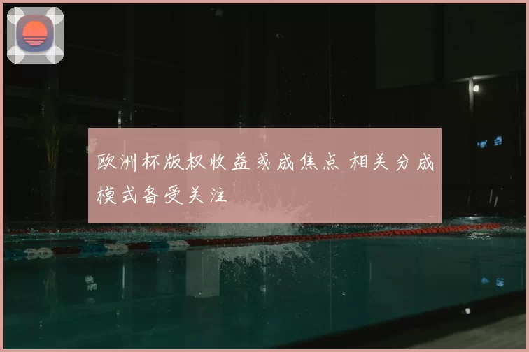 欧洲杯版权收益或成焦点 相关分成模式备受关注