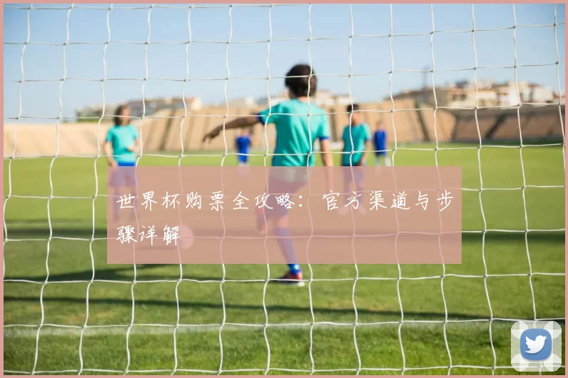 世界杯购票全攻略：官方渠道与步骤详解