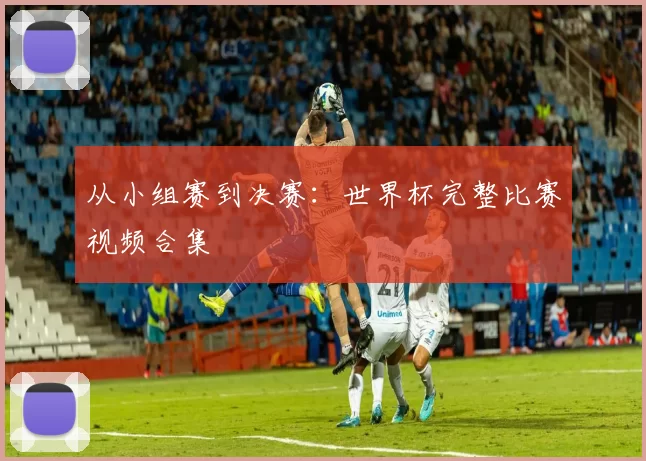 从小组赛到决赛:世界杯完整比赛视频合集
