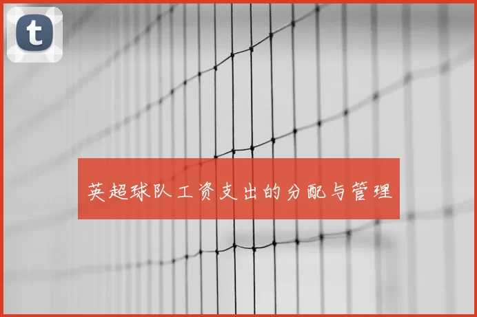 英超球队工资支出的分配与管理