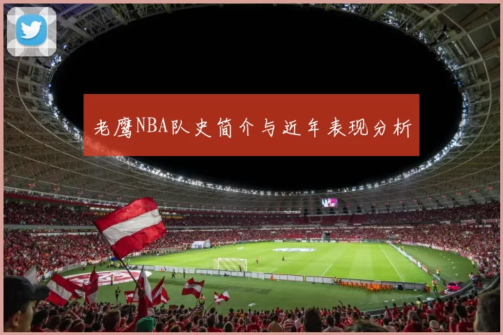 老鹰NBA队史简介与近年表现分析