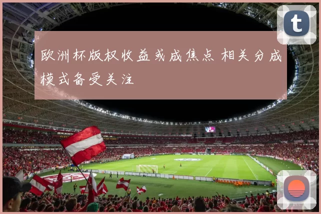 欧洲杯版权收益或成焦点 相关分成模式备受关注